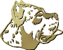 CLICK HERE TO ENTER LEGACY CANE CORSO