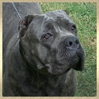 CLICK HERE TO SEE MORE OF KORA