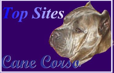 My Topsites List