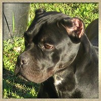 CLICK HERE TO SEE MORE OF TUCA